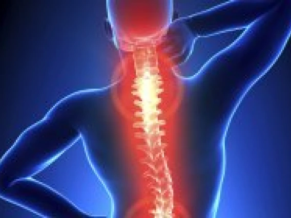 picture of a spine highlighted in red