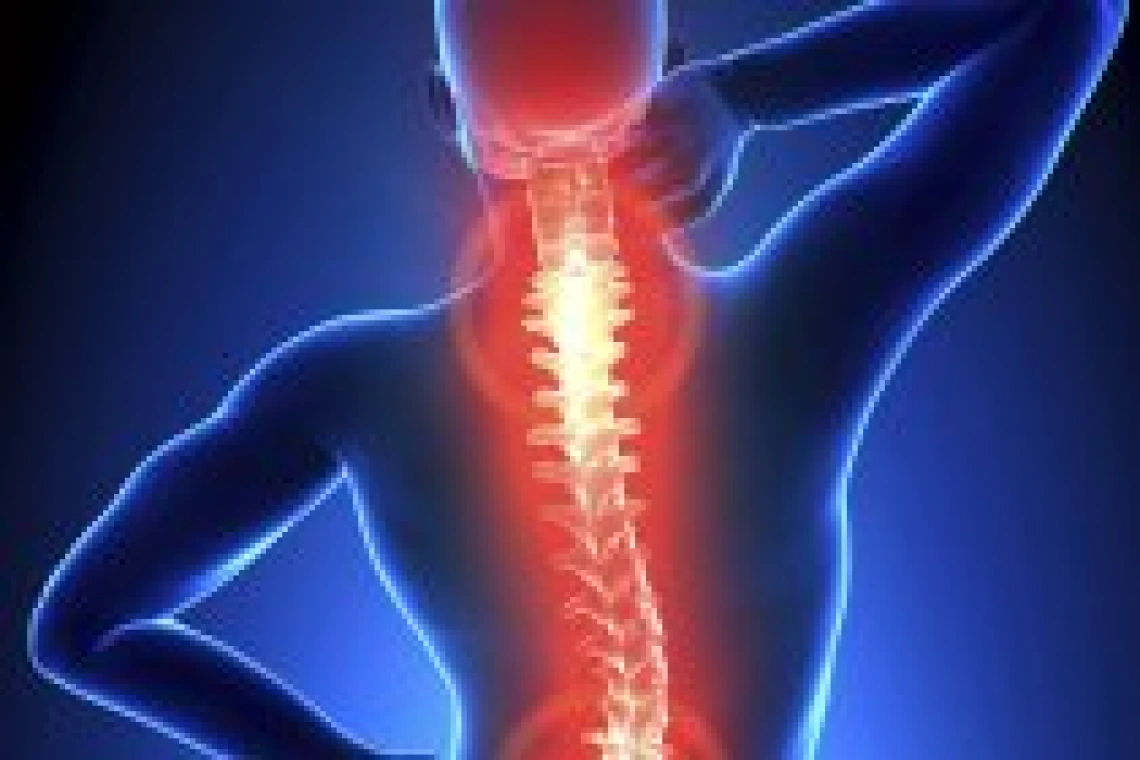 picture of a spine highlighted in red